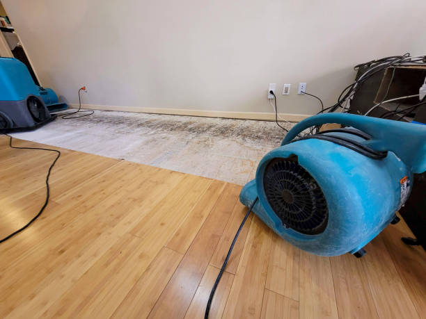 Professional Basement Flood Cleanup technician working in Big Creek, CA
